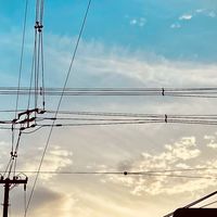 謎
