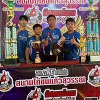 นิพนธ์ฟาร์ม (พม่าไร้เงา)