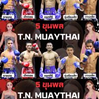 ครอบครัวTN🥊