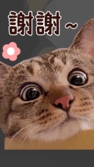 第三個