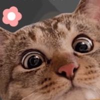 第三個