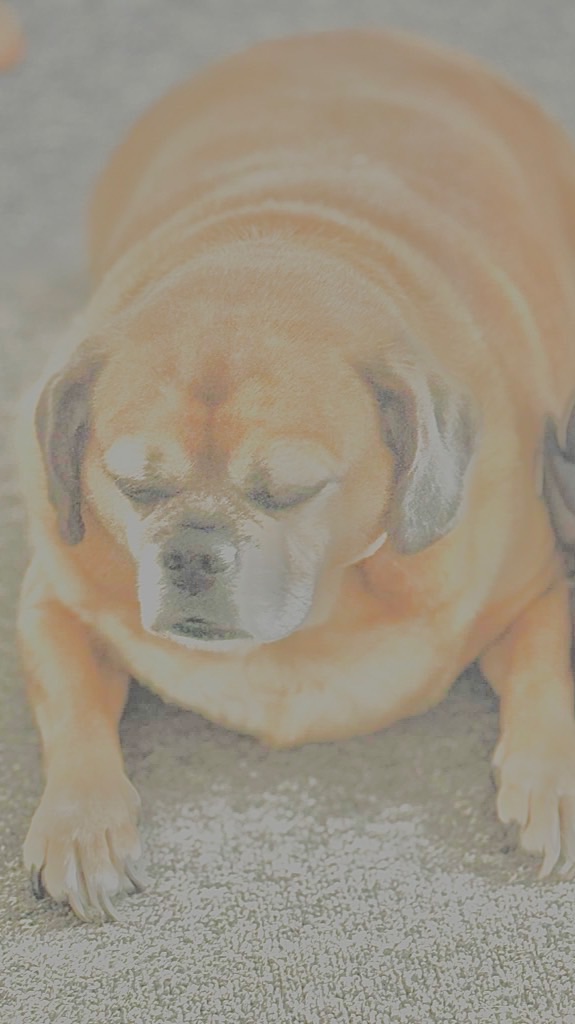 🫙♱ ₊ 𝓣𝓜𐬹 ۶ৎ ꙳🍮