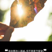 門當互懟愛上你