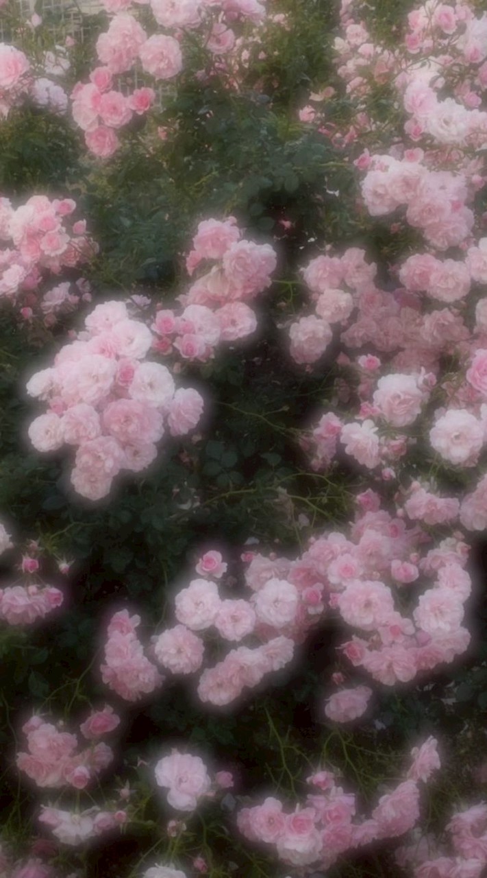 愛してね✧2ｊ3ｊ