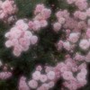 愛してね✧2ｊ3ｊ