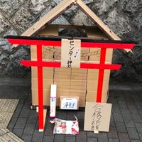 京都市住まいの学生仲良くしましょう🥺