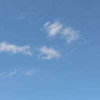 還暦以上シングルの憩いの部屋