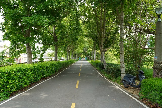 台中后里騎腳踏車