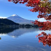 就是愛旅遊~ 國外內團體旅遊商品/早鳥優惠/自由行/代辦證件/ 國內外飯店/ 機票/票卷