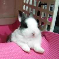 🐇กระตุ่ยแสนรัก🐰