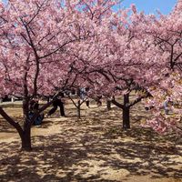 北九州、下関ツーリングクラブ（ヤエー）# バイク#ツーリング#北九州下関
