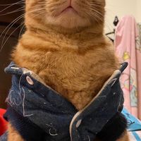 我超🍊白 😹～