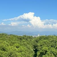 115東海社會個人申請