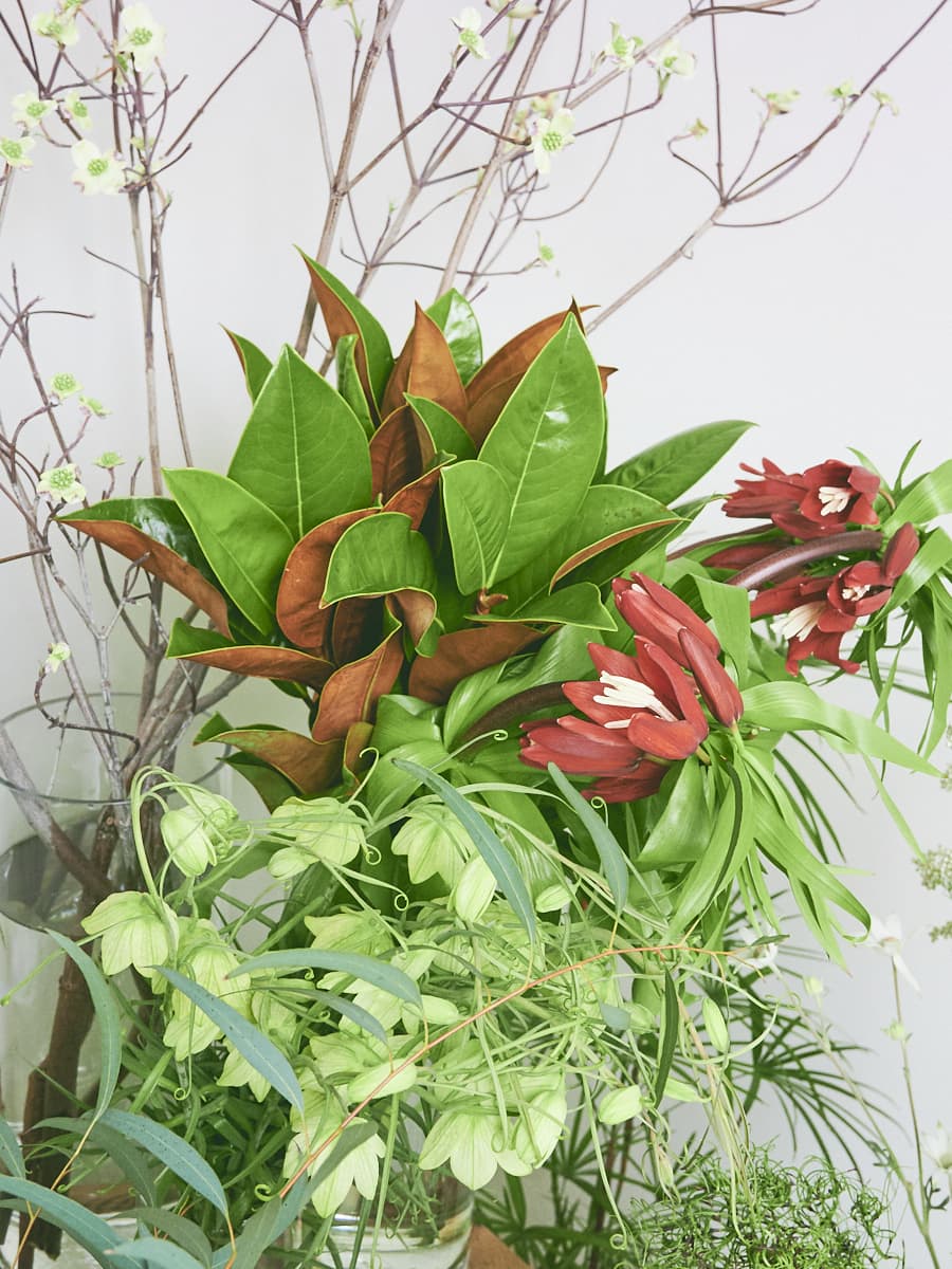 脇役の花を知る幡ヶ谷 Forager センスあふれる東京の花屋