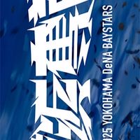 横浜DeNAベイスターズ大魔神の部屋