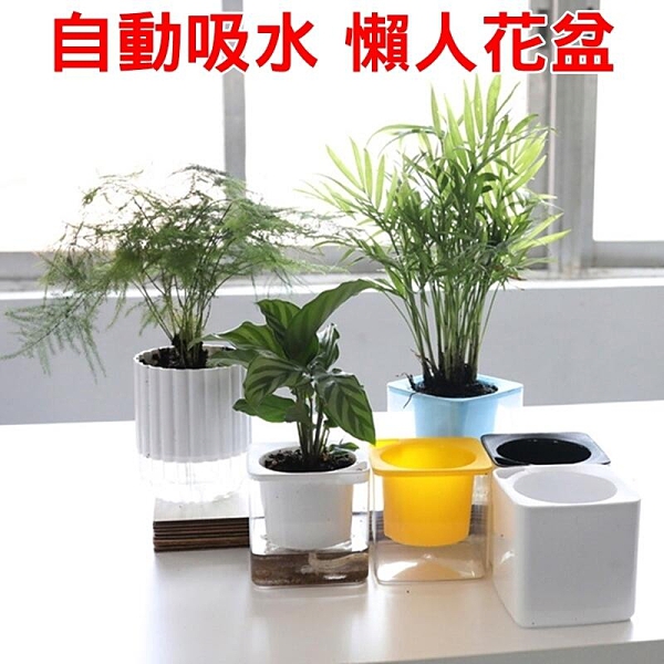 【JIS】N138 魔方懶人花盆 透明花盆 自動吸水 多肉花盆 創意花盆 室內植栽 辦公桌盆景