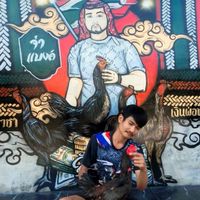 รวมดาว ไก่ชน ตีตาอาชีพ