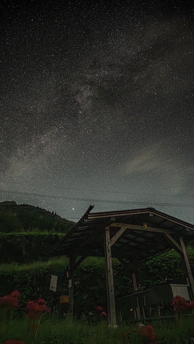 夜景を撮るのが好きな人たち(星・月・イルミ・花火)