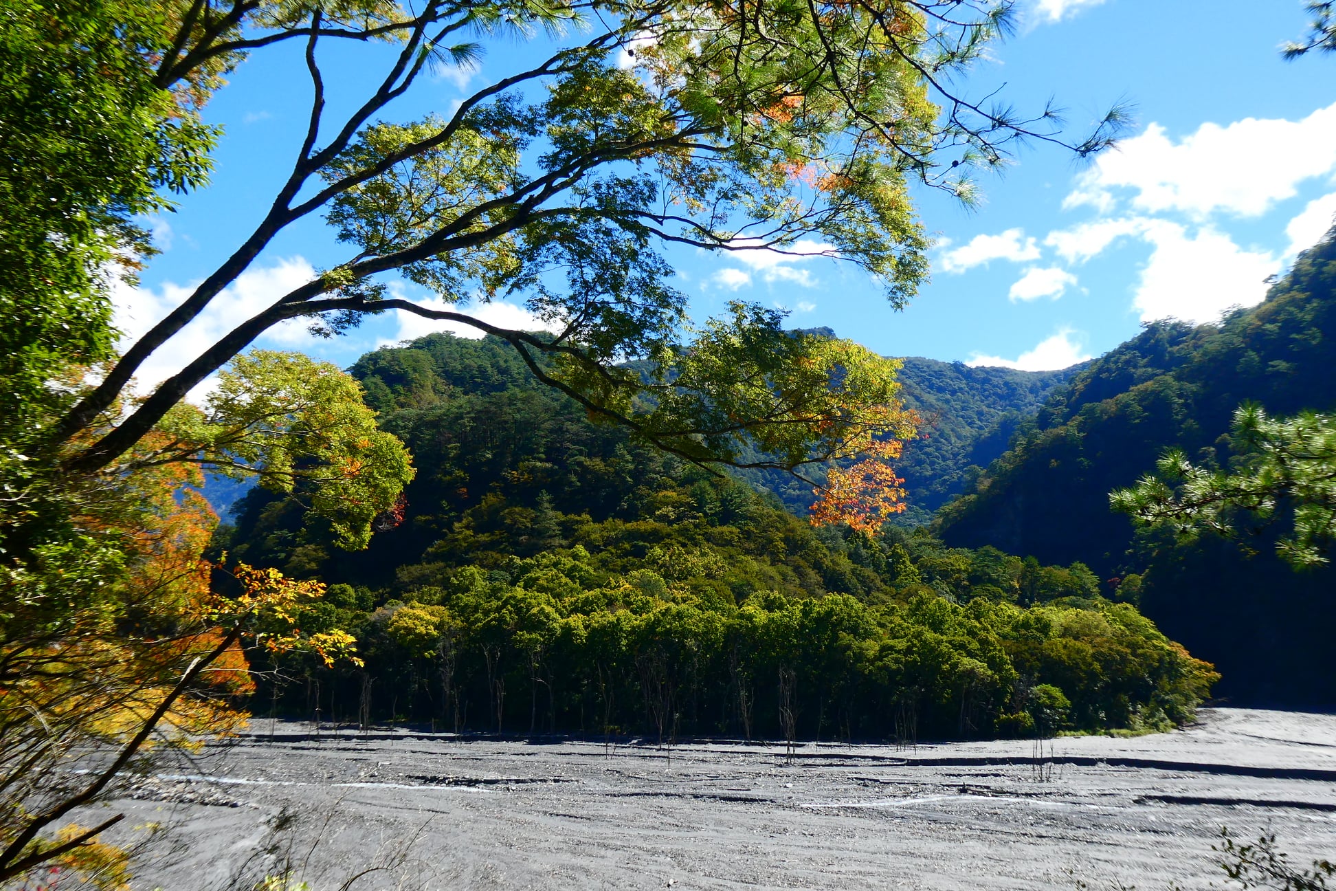 「奧萬大森林遊樂區」超完整賞楓攻略｜奧萬大賞楓景點整理