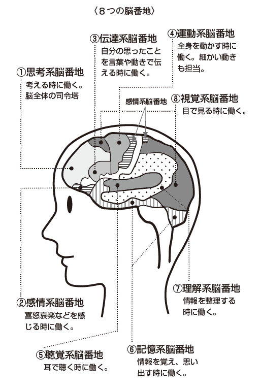 寝不足脳を変える 脳番地睡眠法 の実践テクニック