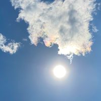 Amwayのことならココ🆓