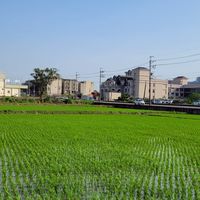 青埔中壢桃園二手團