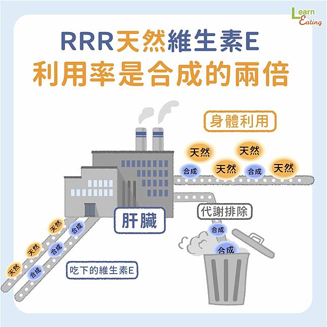 懶人包 Dha迷思大破解 怎麼吃才有效 好食課 Line Today