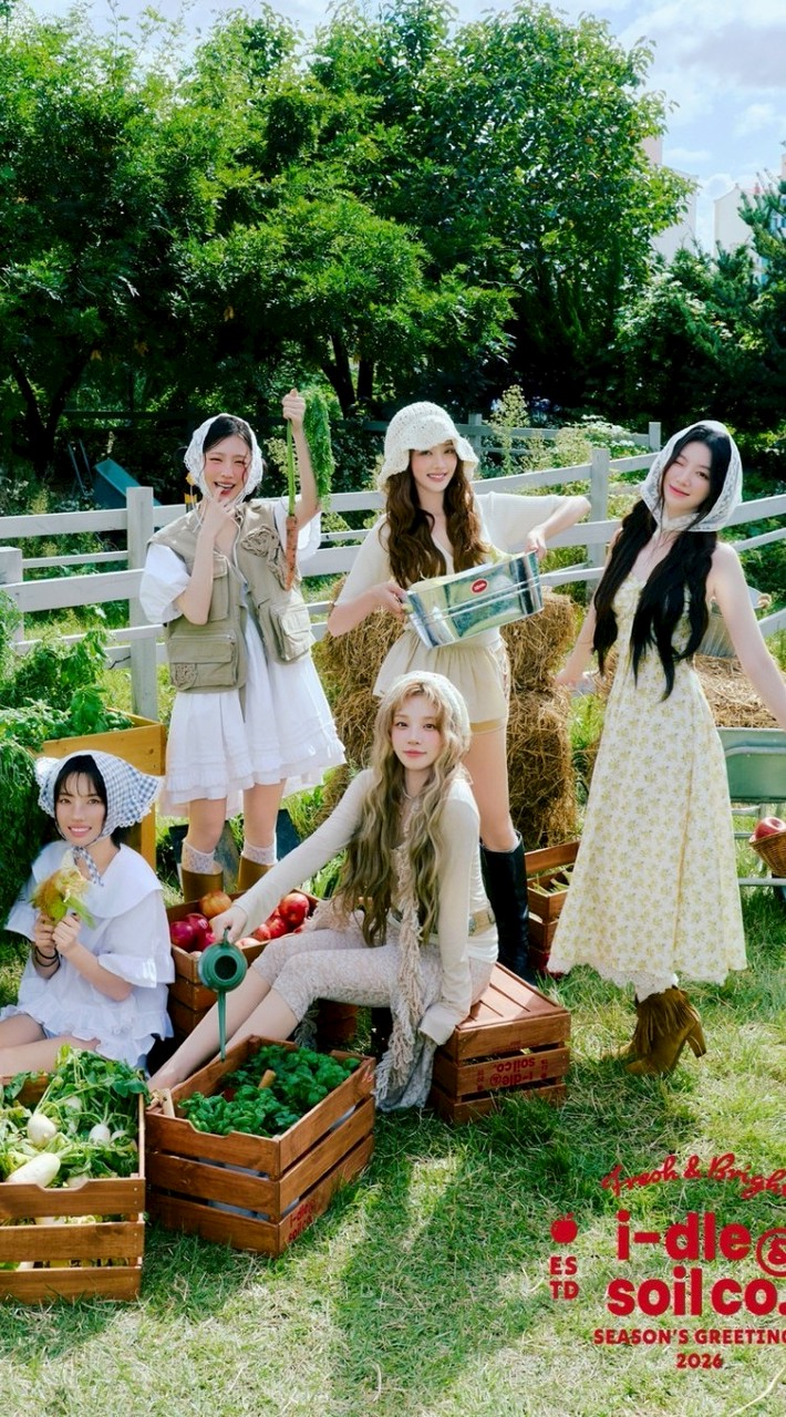 𓆩₊˚⁠ᥫᩣ 芯 夢 星 辰 ෆ★ᯓ .𓆪 K-pop/idle/BP/TWICE/aespa/追星