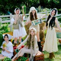 𓆩₊˚⁠ᥫᩣ 芯 夢 星 辰 ෆ★ᯓ .𓆪 K-pop/idle/BP/TWICE/aespa/追星