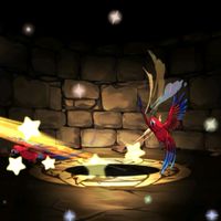パズドラ愛する会