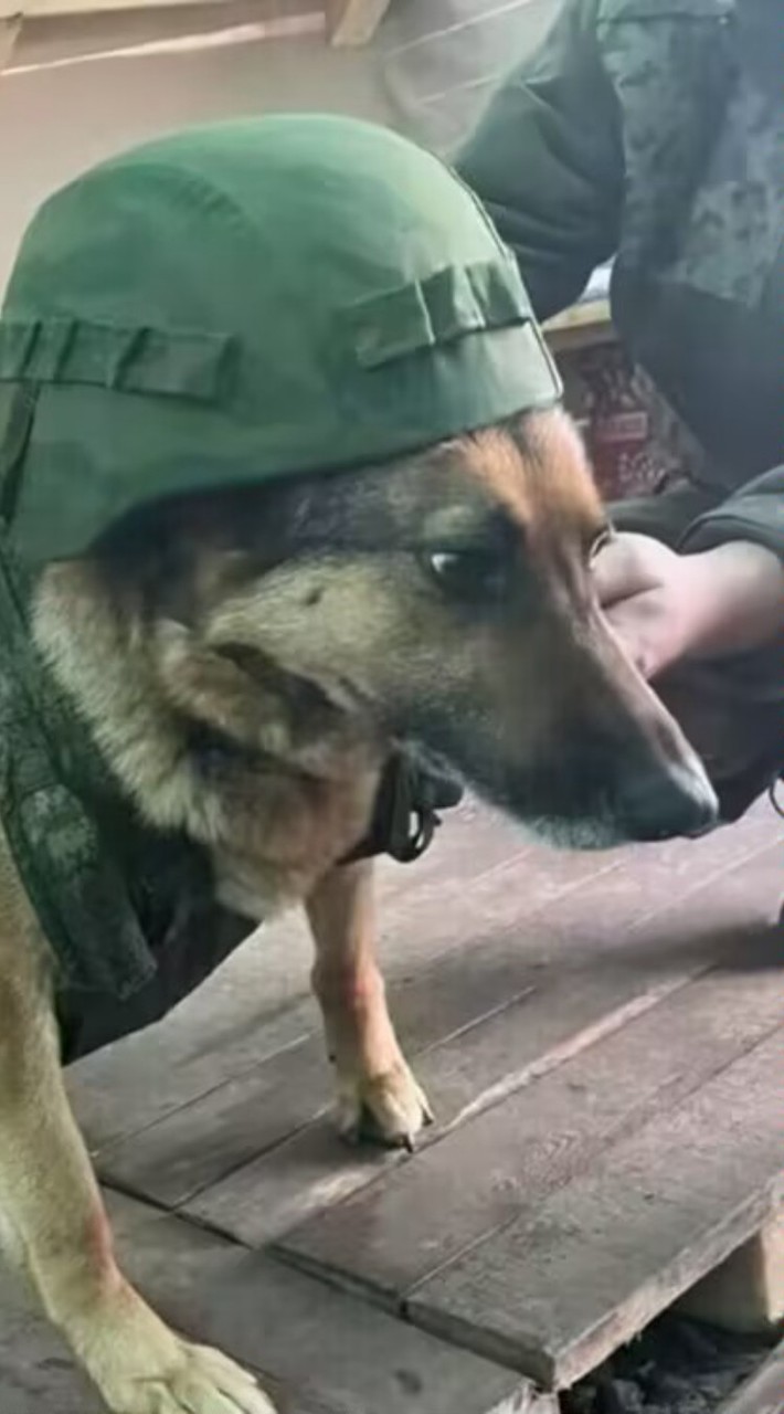 黑警