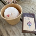 実際訪問したユーザーが直接撮影して投稿した吉田町山手アイスクリーム縄文あいす「ひとは館」ベジパーク店の写真