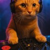 【🎧】DJオンラインサロン