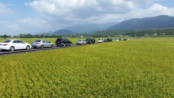 【e卡農場玩樂趣】台東《大和牧場》 -四人同行逍遙遊住宿兌換券