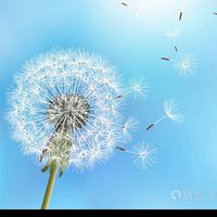 蒲公英班家長群