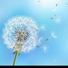 蒲公英班家長群
