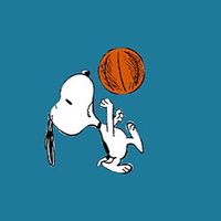 ⛹️‍♂️文理学部バスケットボール研究会⛹️‍♀️新歓用🐢