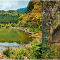 【宜蘭 住宿】力麗馬告生態園區-明池山莊 一起森呼吸！入住森林小木屋 走進夢幻山中湖 網紅打卡的絕美步道 專車前往棲蘭神木園