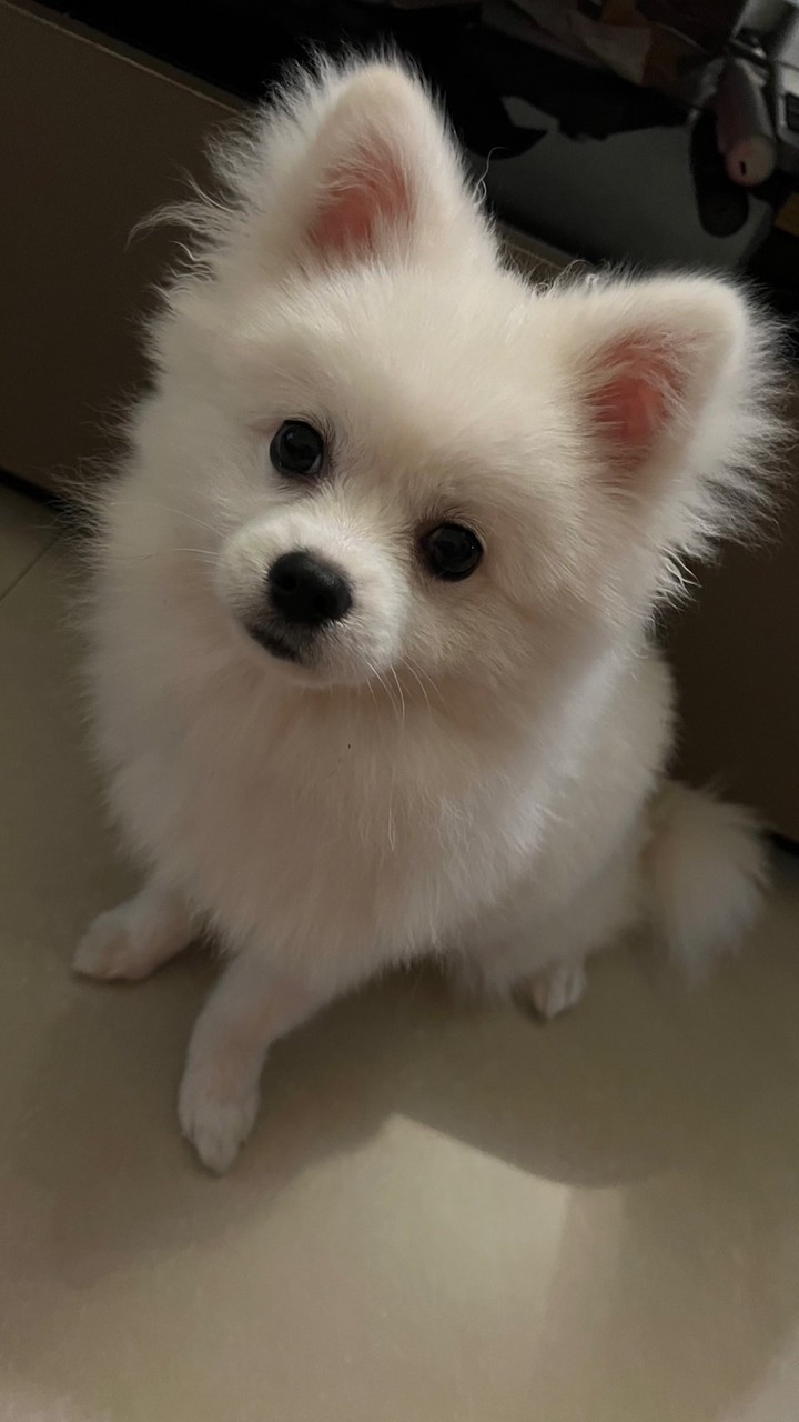 ꫛꫀꪝˢᵞ  BUY  ᴮᵁᵞ