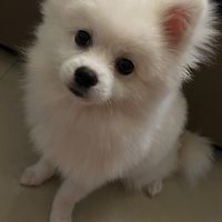 ꫛꫀꪝˢᵞ  BUY  ᴮᵁᵞ