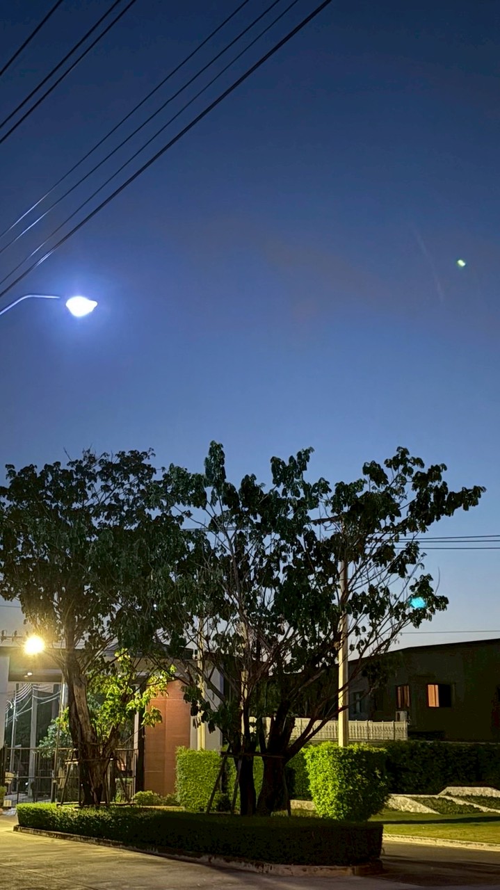 ด้อมรูปโปรไฟล์