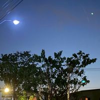 ด้อมรูปโปรไฟล์