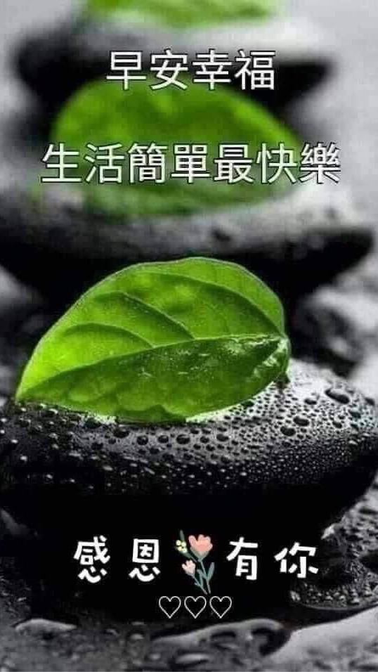 大理食生 快樂學習❤️☕️☘️✨