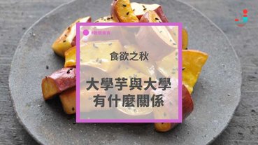 【食慾之秋】大學芋跟大學有什麼關係？