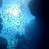 蒼天の轟　キングダム乱