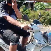 โปรแกรมสนามชนไก่