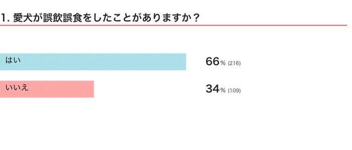 犬の 誤飲 誤食 開腹手術や死に至ったケースも