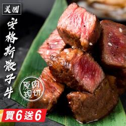 【鮮食煮藝】美國安格斯骰子牛肉買六送六共12包(150g±10%/包)