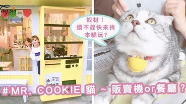 這是販賣機？還是餐廳？「MR. COOKIE 貓」～超萌店貓，正在等你跟牠玩喔！