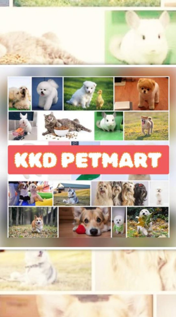 ของขายดี.PetShop